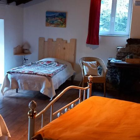 Cedres Bleus De Joany Chez Nathalie Hotel Viviez Luaran gambar