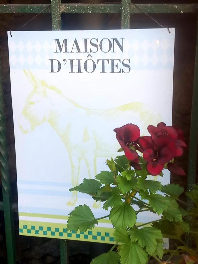 Cedres Bleus De Joany Chez Nathalie Hotel Viviez Luaran gambar