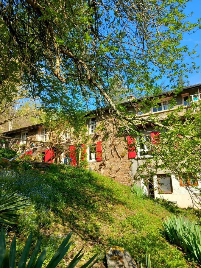 Cedres Bleus De Joany Chez Nathalie Hotel Viviez Luaran gambar